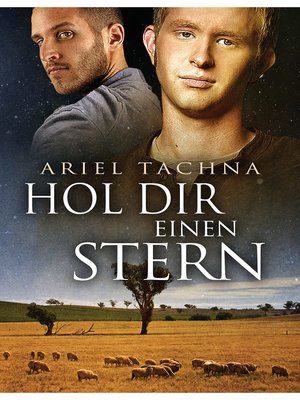 Hol Dir einen Stern - ebook